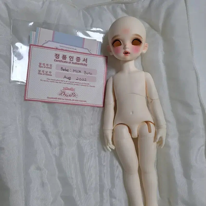 [BUNJANG] Chicabi Milk Bora BJD Doll / 치카비 밀크 보라 구체관절 인형