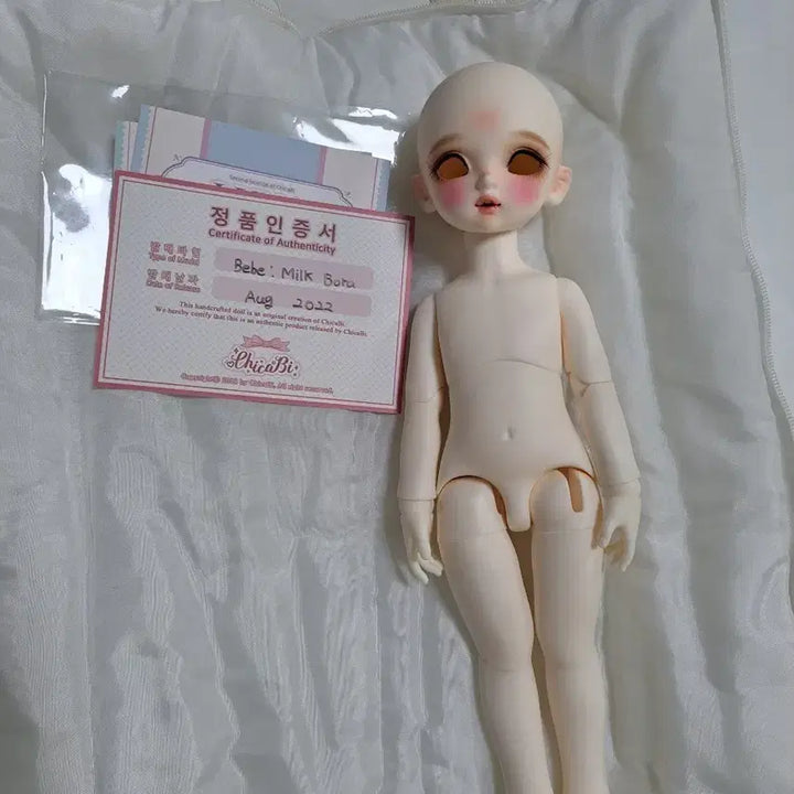 [BUNJANG] Chicabi Milk Bora BJD Doll / 치카비 밀크 보라 구체관절 인형