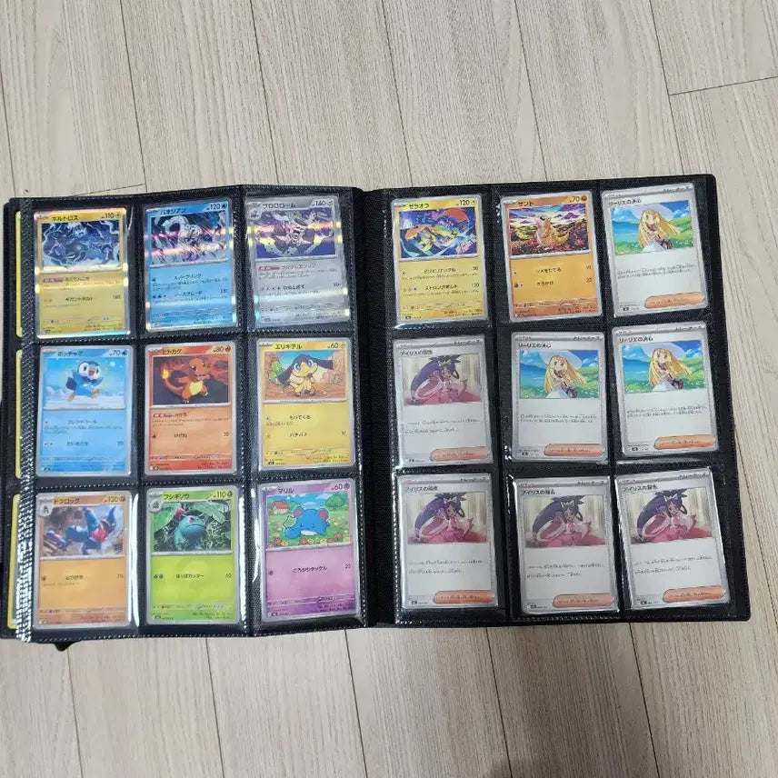 [BUNJANG] Pokemon Card Binder Set / 포켓몬 카드 바인더 전체