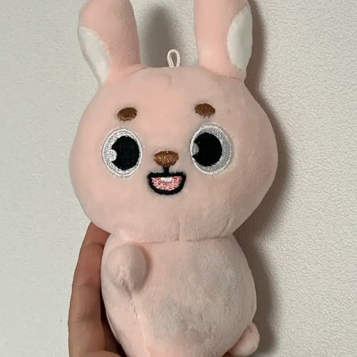 [BUNJANG] Day6 Wonpil Denimalz Hand Warmer Doll / 데니멀즈 원필 필끼 손난로 인형