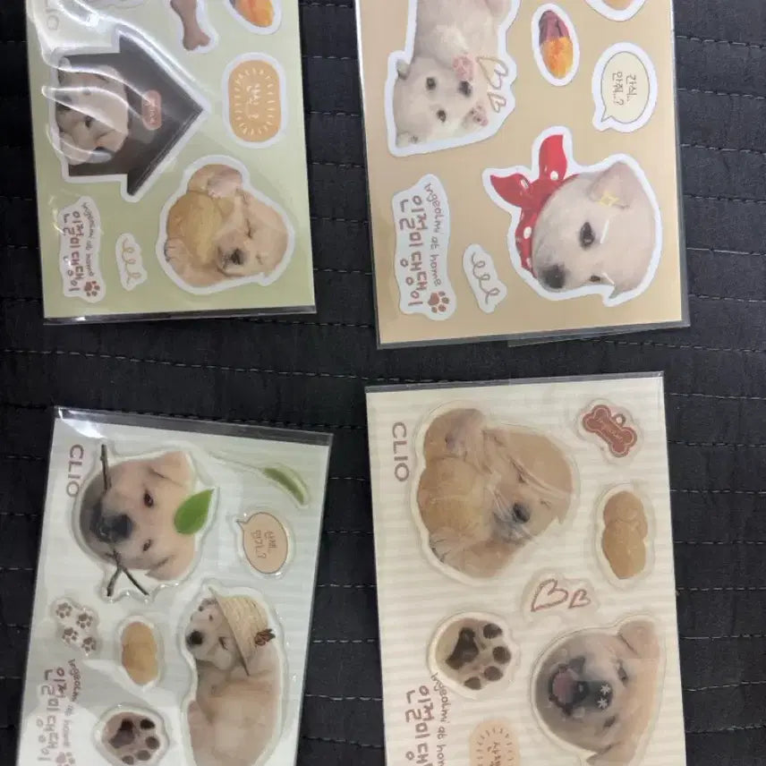 [BUNJANG] Clio Injeolmi Ddaengdaengi Series Palette Concealer / 클리오 인절미 댕댕이 시리즈 팔레트 컨실러(스티커+키링 두개)