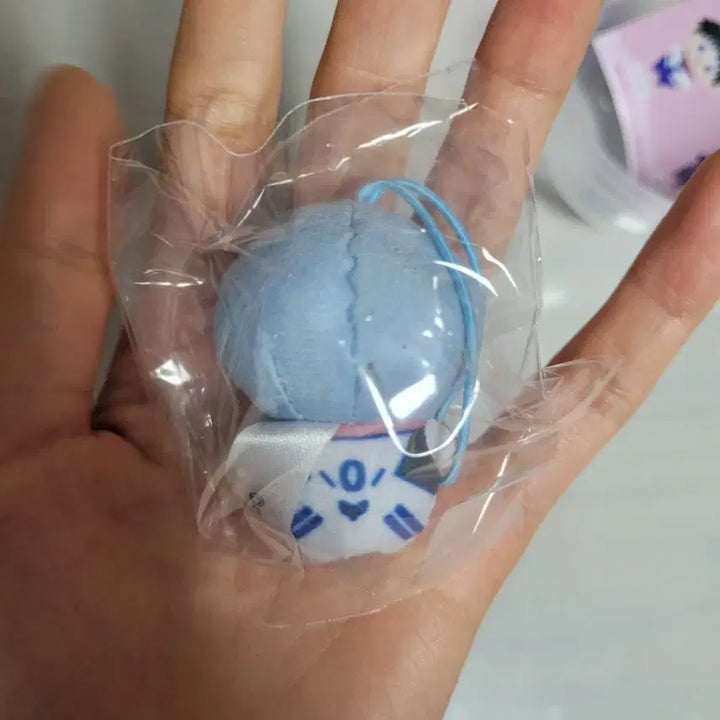 [BUNJANG] Evangelion Rei Plush Doll / 에반게리온 레이 푸치누이 가챠 봉제인형