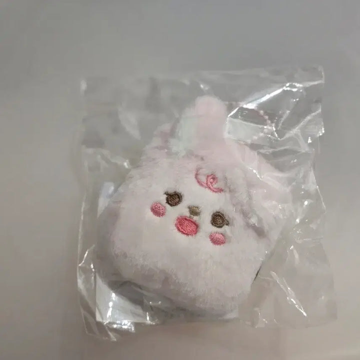 [SOLD OUT] 데이식스 쁘띠멀즈 아이디 포토 홀더 필