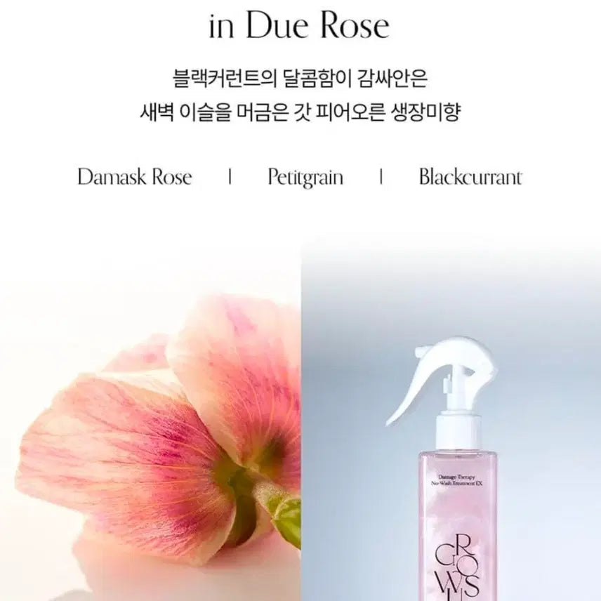 [BUNJANG] Growus Damage No Wash Treatment 250ml / 그로우어스 데미지 노워시 트리트먼트 듀로즈 250ml