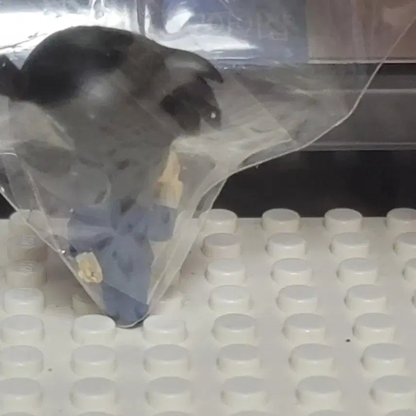 [BUNJANG] Detective Conan Mini Figure / 명탐정 코난 미니 피규어