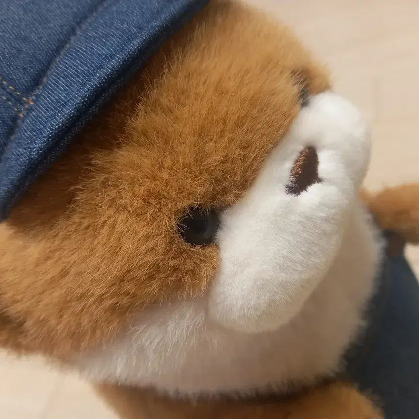 [SOLD OUT] 바리스타 우소우소짱 브라운 27cm 인형 (중고)