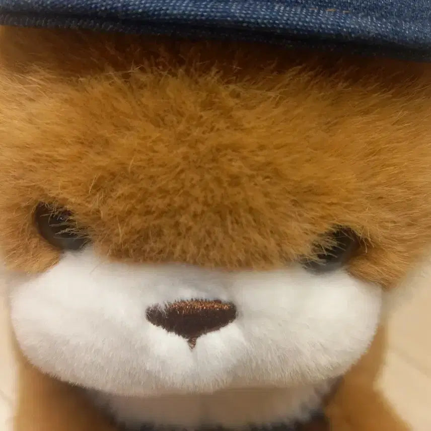 [SOLD OUT] 바리스타 우소우소짱 브라운 27cm 인형 (중고)