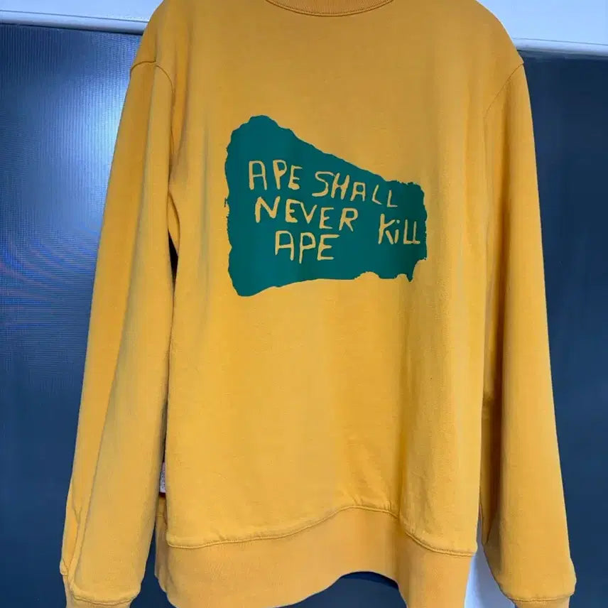 [BUNJANG] BAPE A Bathing Ape Reversible Sweatshirt / BAPE 베이프 리버시블 맨투맨 정품 A Bathing Ape