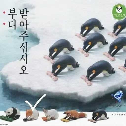 [BUNJANG] Gacha / 부디 받아주십시오 가챠