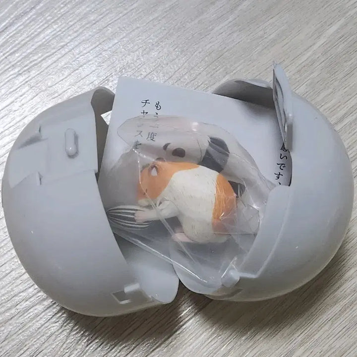 [BUNJANG] Gacha / 부디 받아주십시오 가챠