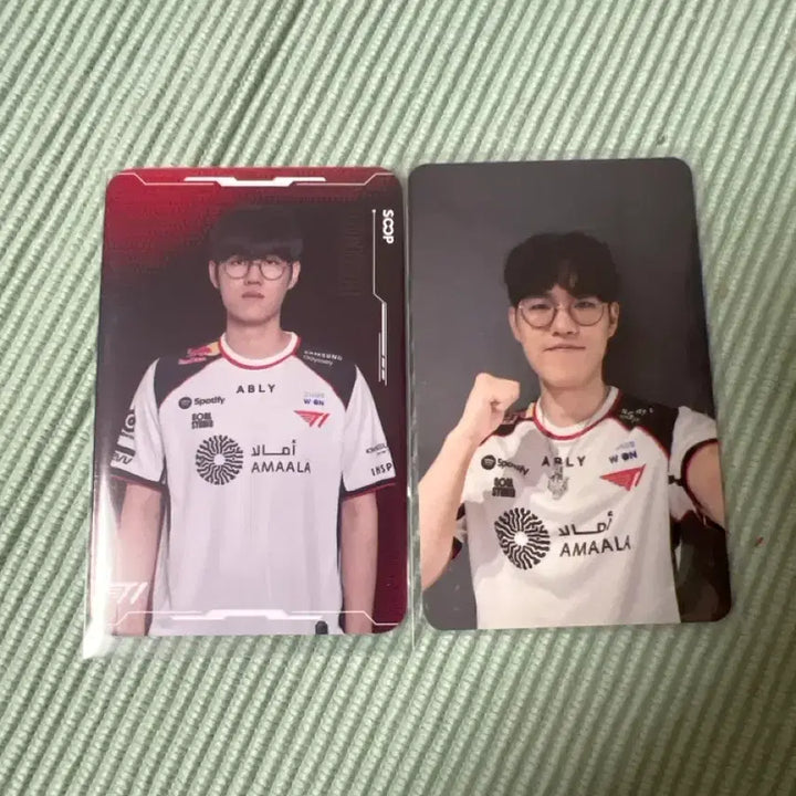 [BUNJANG] T1 Owner T1 Zone Bundle Set Photocard / T1 오너 티원존+숲포카 일괄판매
