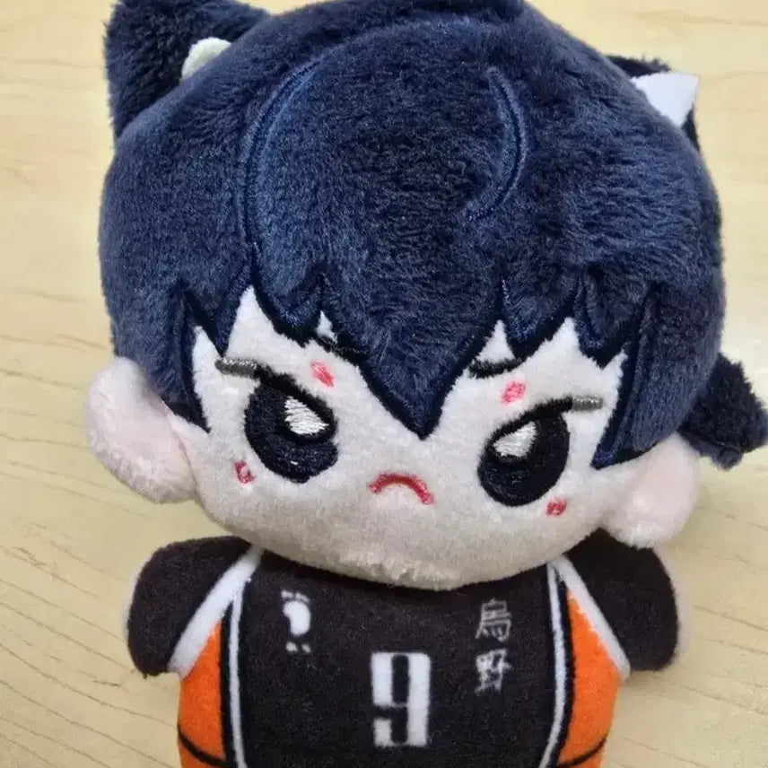 [BUNJANG] Haikyuu Kageyama Cat Plush / 하이큐 카게야마 고양이 누이 판매 (급매)