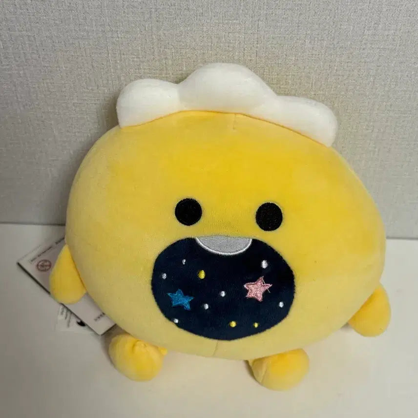 [BUNJANG] Treasure So Junghwan Popdomi / 트레저 소정환 트루즈 포동이 팝니다