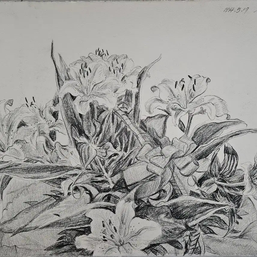 [BUNJANG] Lee Chul-hee Drawing Artwork / 서양화가 이철희 드로잉