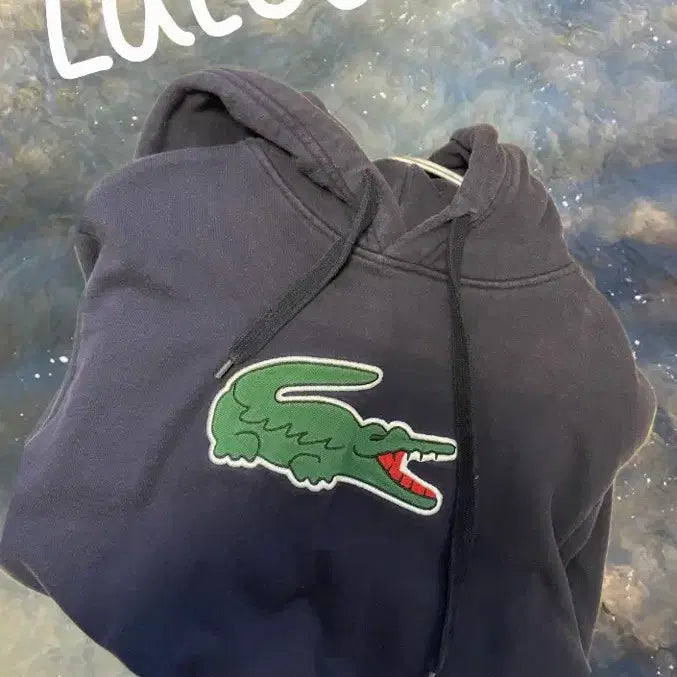 [BUNJANG] Lacoste Navy Big Logo Hoodie / 라코스테 네이비 빅로고 후드티
