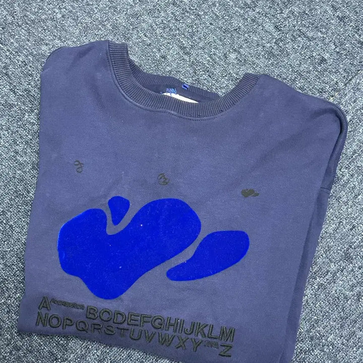 [BUNJANG] ADER Error Zara Collaboration Sweatshirt / (L xl)자라 아더에러 맨투맨