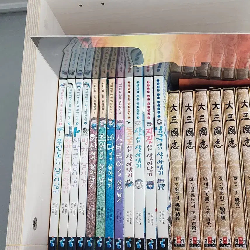 [BUNJANG] Survival Series Comics Vol. 12 / 살아남기 시리즈 만화책 12권