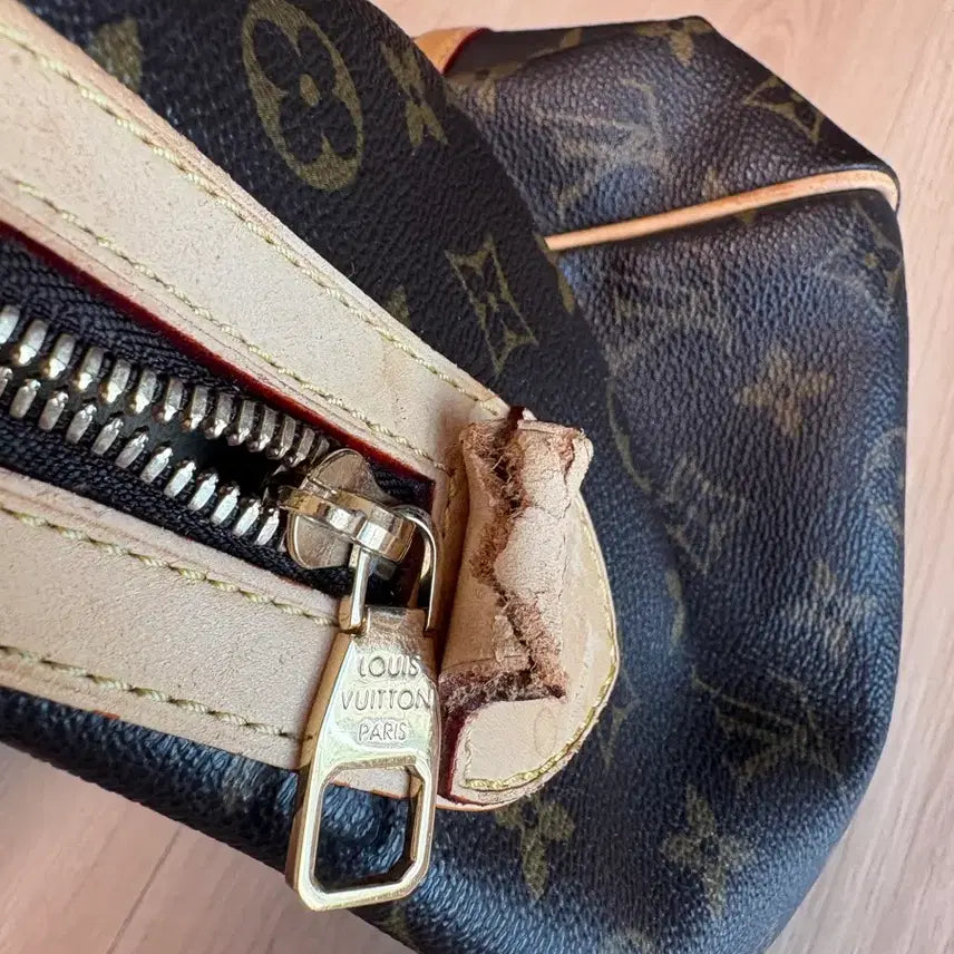 [BUNJANG] Louis Vuitton Bag / 루이비통 가방