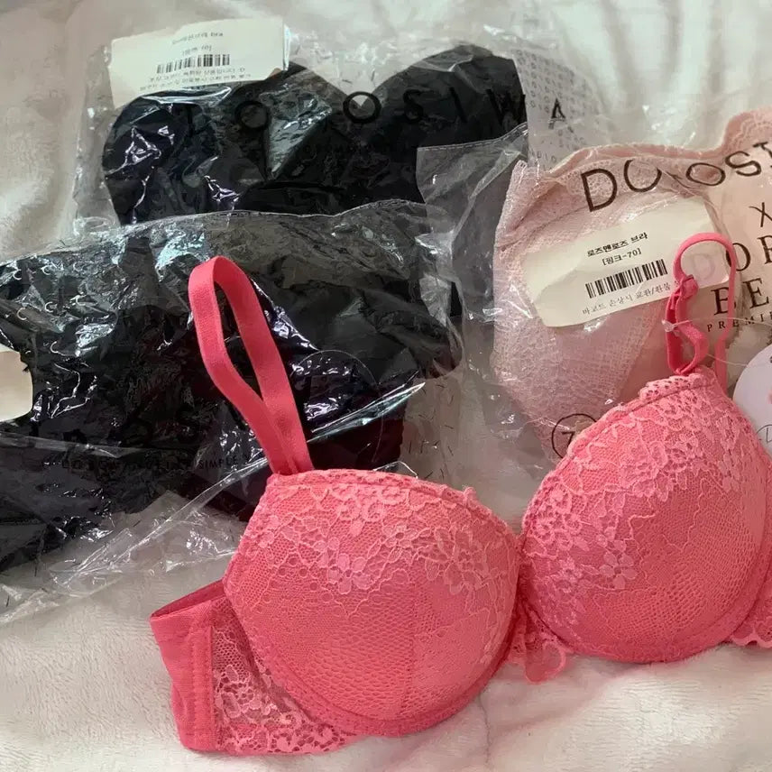 [BUNJANG] Dorothy Bra 70A - Bundle Set / [새상품] 도로시와 브래지어 70A