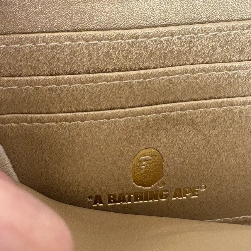 [BUNJANG] Bape Snake Skin Wallet / Bape 베이프 뱀피 지갑