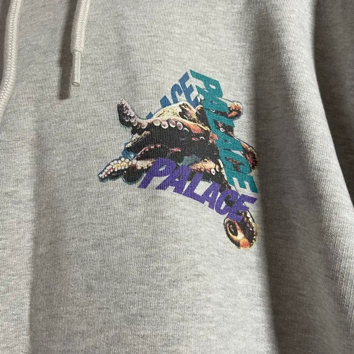 [BUNJANG] Palace Octo Hoodie / 팔라스 옥토 후드티
