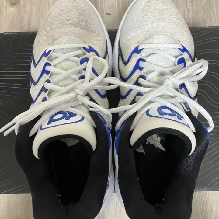 [BUNJANG] Nike KD17 Basketball Shoes / 나이키 KD17 265