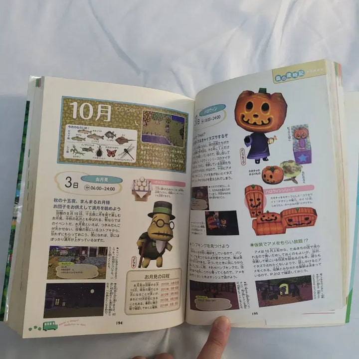 [BUNJANG] Animal Crossing: City Folk Guidebook / 고전 Wii 타운으로 놀러가요 동물의 숲 공략 가이드북