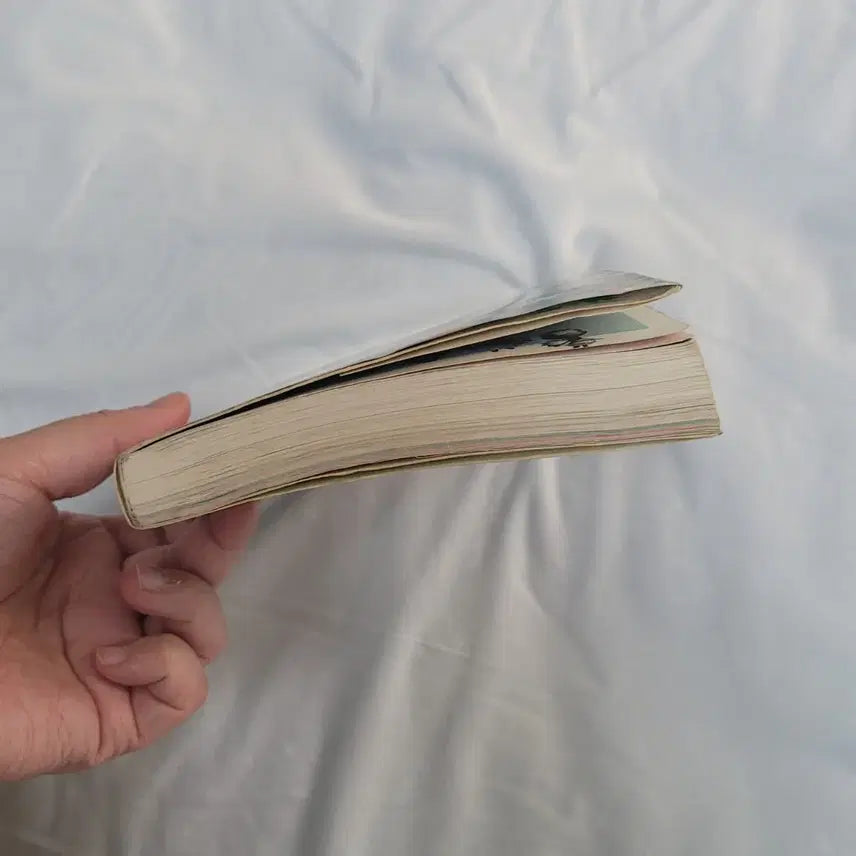 [BUNJANG] Animal Crossing: City Folk Guidebook / 고전 Wii 타운으로 놀러가요 동물의 숲 공략 가이드북