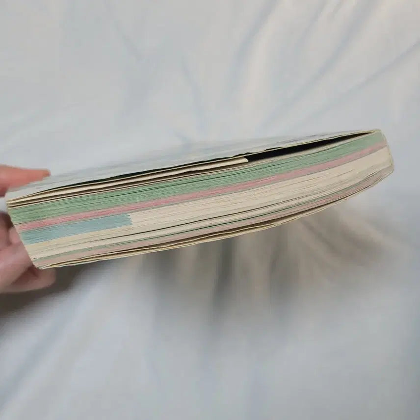 [BUNJANG] Animal Crossing: City Folk Guidebook / 고전 Wii 타운으로 놀러가요 동물의 숲 공략 가이드북