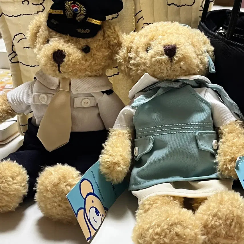 [BUNJANG] Korean Air Environment Teddy Bear Doll / 대한항공 테디 인형 환경이