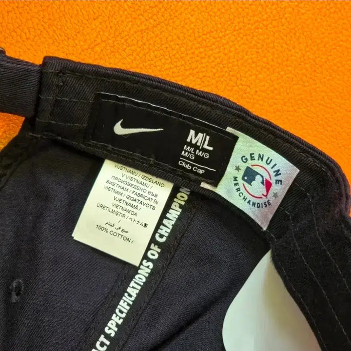 [BUNJANG] Nike C56 Hat / (새상품) 나이키 모자 c56