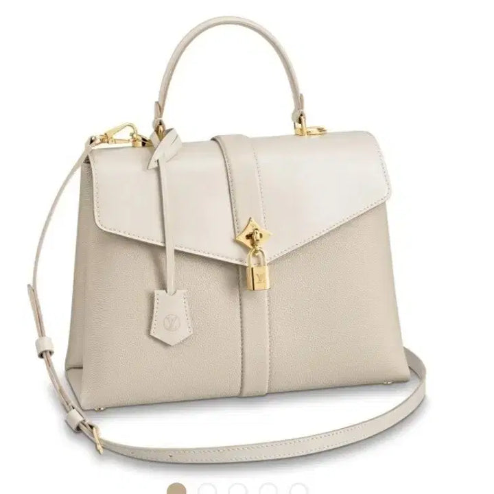 [BUNJANG] Louis Vuitton Bag / 한정판 루이비통 가방