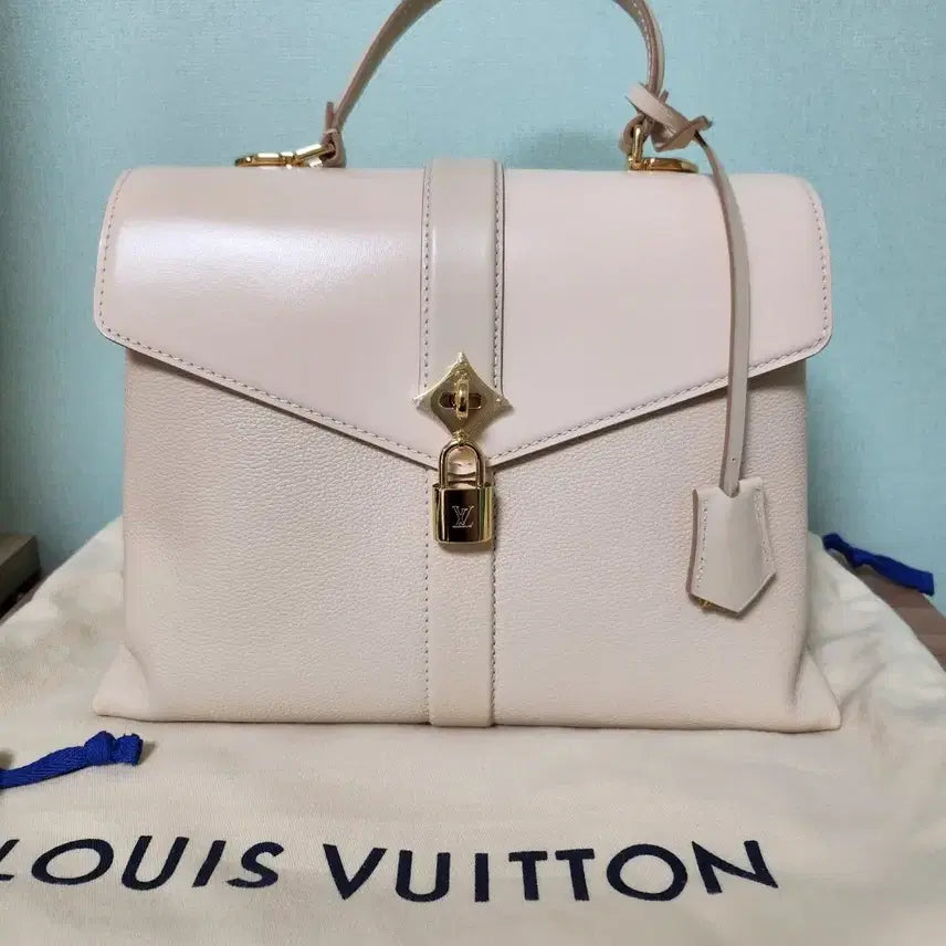 [BUNJANG] Louis Vuitton Bag / 한정판 루이비통 가방