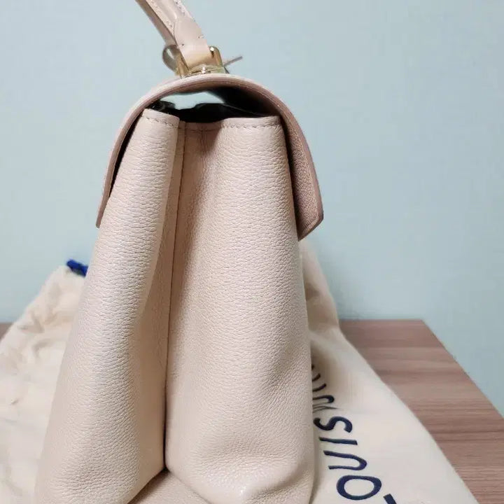 [BUNJANG] Louis Vuitton Bag / 한정판 루이비통 가방