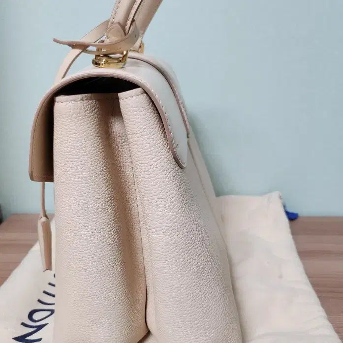 [BUNJANG] Louis Vuitton Bag / 한정판 루이비통 가방