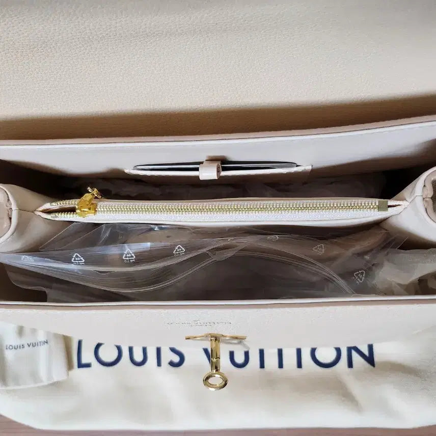 [BUNJANG] Louis Vuitton Bag / 한정판 루이비통 가방
