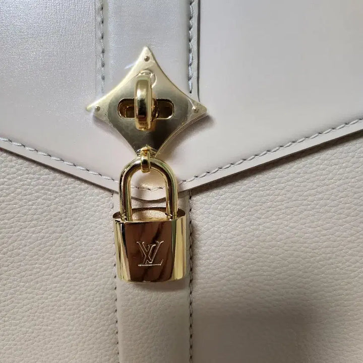 [BUNJANG] Louis Vuitton Bag / 한정판 루이비통 가방