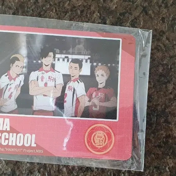 [BUNJANG] Haikyuu Nekoma High School Special Photocard / 하이큐 네코마 고교 스페셜 포토카드 포카