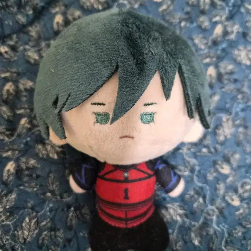 [BUNJANG] Blue Lock Itoshi Rin Plush / 블루록 이토시 린 누이 판매합니다