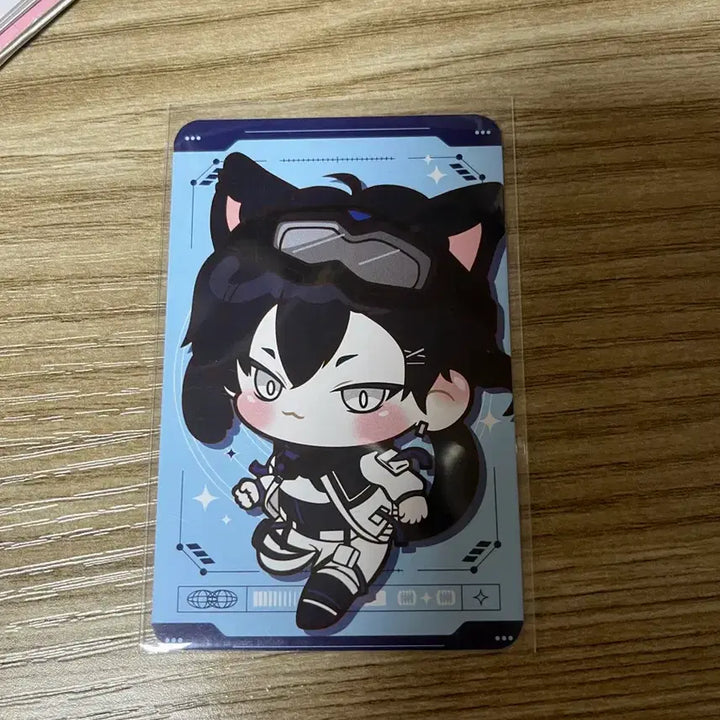 [BUNJANG] Riize Shotaro Anniversary Can Badge Photocard Goods / 리레 레하 잭 주년 캔뱃 포카 굿즈 급처