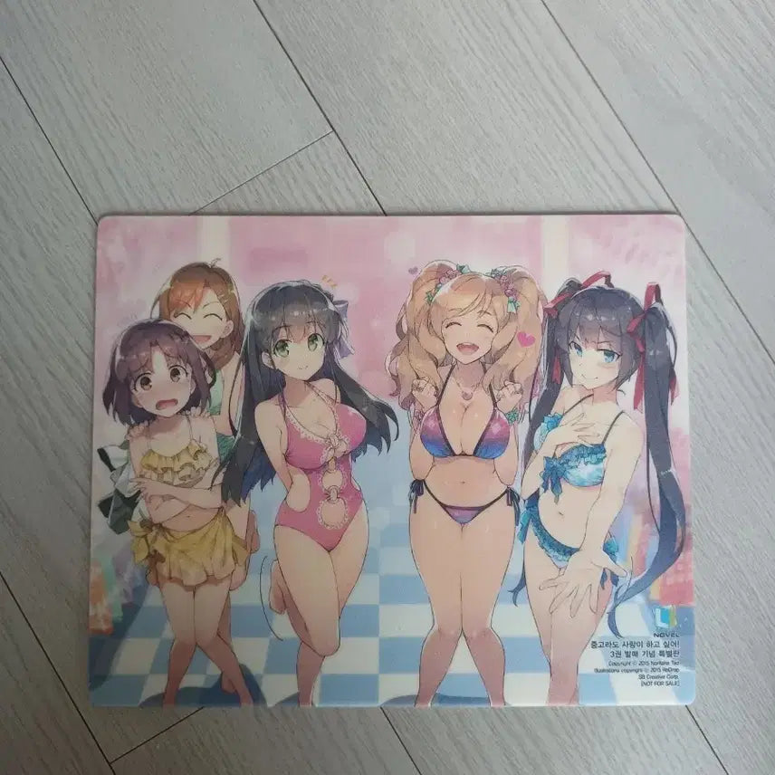 [BUNJANG] Female Character Illustration Collection + Mouse Pad / 여캐 일러스트모음집+마우스패드