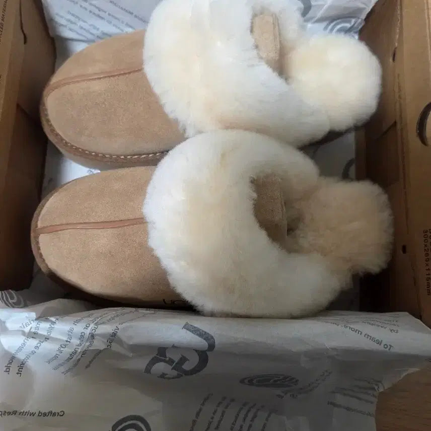 [BUNJANG] UGG Coquette US9 / 어그 코케트260(us9)