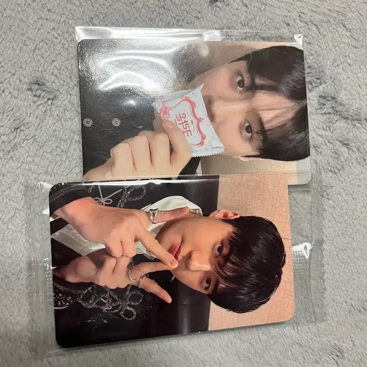 [BUNJANG] EXO Sehun Photocard / 세훈 포카