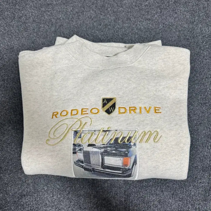 [BUNJANG] Stray Kids Alexander Wang Rodeo Drive Sweatshirt M / Alexander Wang Rodeo Drive 맨투맨 M (정품)