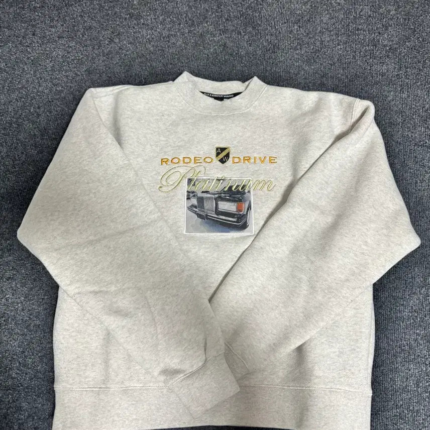 [BUNJANG] Stray Kids Alexander Wang Rodeo Drive Sweatshirt M / Alexander Wang Rodeo Drive 맨투맨 M (정품)