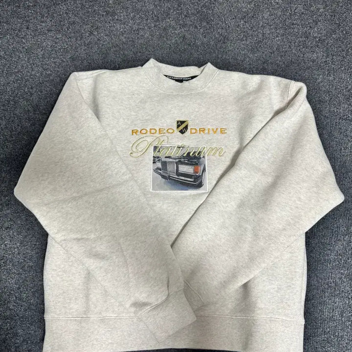 [BUNJANG] Stray Kids Alexander Wang Rodeo Drive Sweatshirt M / Alexander Wang Rodeo Drive 맨투맨 M (정품)