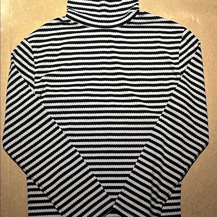 [BUNJANG] DSR Texture Stripe Turtleneck / (L) 디앤에스알 텍스처 스트라이프 터틀넥