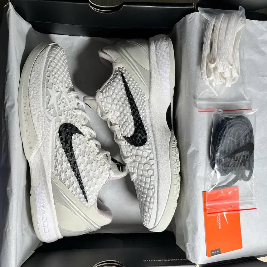 [BUNJANG] Kobe 6 / 코비6