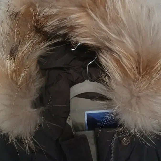 [BUNJANG] PESPOW Freeze Down Padded Parka (S Size) / PESPOW Freeze 파카 다운 패딩 S사이즈 상태매우좋음