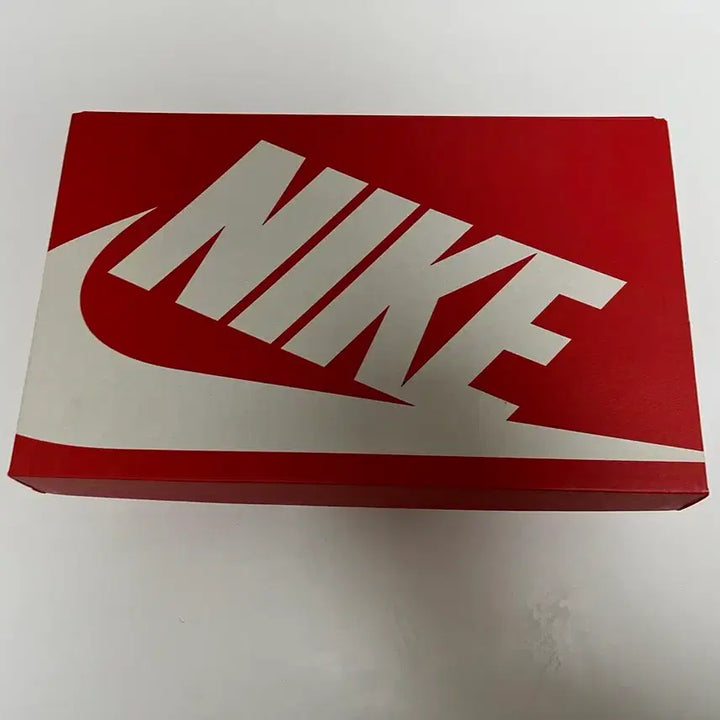 [BUNJANG] Nike Dunk Low Retro Panda (DD1391-100) Sneakers / 나이키 덩크 로우 레트로 범고래(DD1391-100) 260